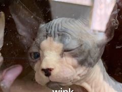 -丰和轩餐厅(西四环南路辅路店)