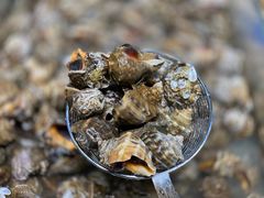 -圣罗巴海鲜自助(黑金店)