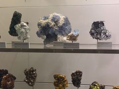-墨尔本博物馆(Melbourne Museum)