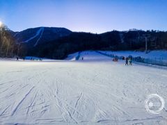 -亚布力新体委滑雪场