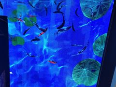 -老昆明网红小吃城(景星恒隆百货店)