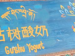 -古树酸奶(八廓南街店)