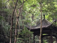 -江西阳明山国家森林公园