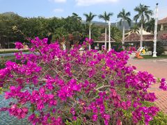 -亚龙湾亚泰商业街