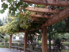 -康梦圆国际老年公寓