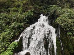 -三峡人家风景区
