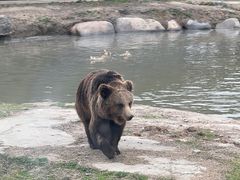 -上海野生动物园