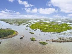 -泗洪洪泽湖湿地景区