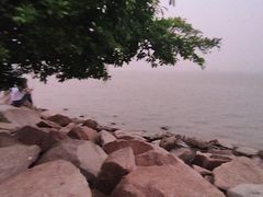 -深圳湾公园(南山区)