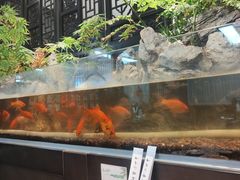 -舟小鲜·舟山小渔村(凤城四路中登广场店)