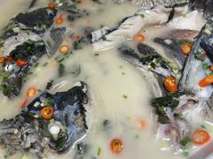 -老傅家湘潭水煮活鱼店(众一国际店)