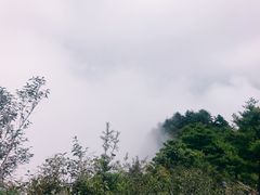 -秦岭天竺山景区