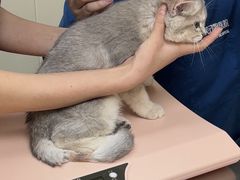 -爱诺耐芙动物医院(万博店)