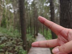 -白草畔自然风景区