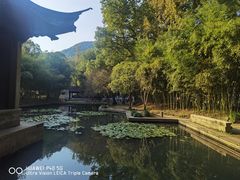 -兰亭风景区