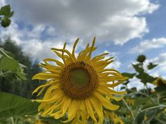 -长春公园(普阳街道)