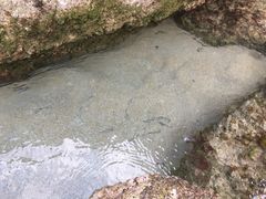 -白沙湾海滩