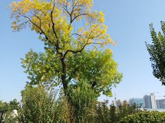 -西海子公园