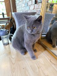 -青木造型HAIR·あおき髪を刈る潮人店