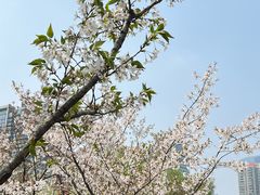 -西北湖绿化广场