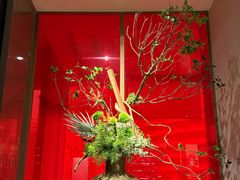 -星·South Beauty·俏江南(国贸店)