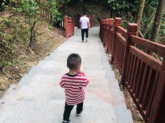 -南国桃园旅游度假区