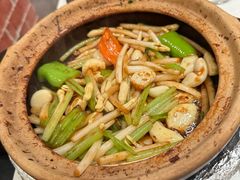 啫啫花生芽-煲煲好(朝阳门店)