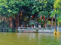 -荔湾湖公园