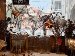 -野草莓自由市场