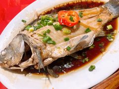 -先鲜鲫鱼粥
