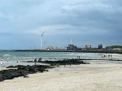 -济州森林小火车生态公园