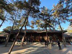 -承德避暑山庄景区