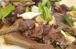 Jingzhou Lake Duck