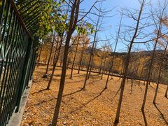 -香山公园