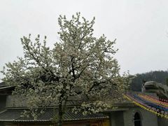 -象山森林公园