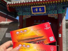 -天津大悲禅院