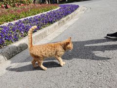 -上海吴淞炮台湾国家湿地公园