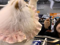 -成都世纪城新国际会展中心