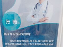 -北京观赏动物医院·24小时大型综合·猫专科·异宠专科