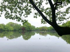 -西湖外事游船(花港观鱼码头)