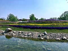 -南通洲际绿博园