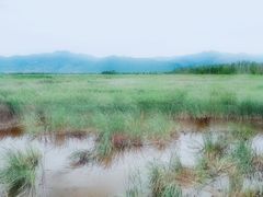 -野鸭湖国家湿地公园