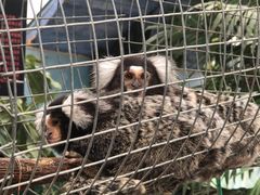 -西霞口神雕山野生动物世界