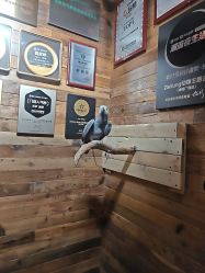 点击看大图 -Zoolung Zoolung动物主题公园(海信广场店)