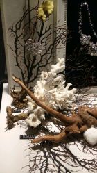 -北京七彩云南翡翠珠宝旗舰店(月坛店)