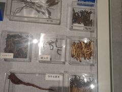 -北京中医药大学-中医药博物馆