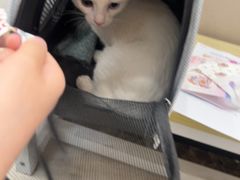 -瑞鹏宠物医院(大运分院)