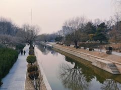 -元大都城垣遗址公园