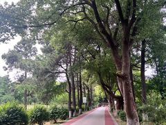 -虞山风景区