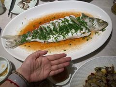 -船歌·鱼水饺青岛菜(闽江二路店)